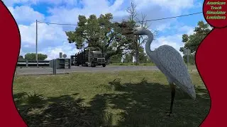 Cruising Louisiana, petite traverser !