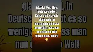 Merz ist komplett absurd #shorts #shortsfeed #shortvideo #afd #politik #deutsch #foryou #fyp #merz
