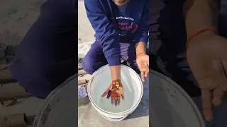 Butterfly 🦋 drawing tattoo on hand #viral #trending #shortvideos