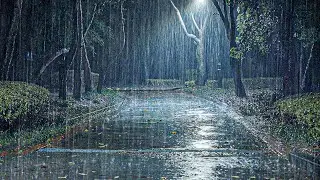 Heavy Rain Sounds to Sleep Like a Log | Deep Sleep Instantly, Insomnia & Tinnitus Relief