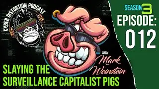 S3 &ndash; Episode 012 &ndash; Slaying the Surveillance Capitalist Pigs w/Mark Weinstein