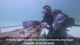 Reef Revival | Coral restoration in Watamu Kenya