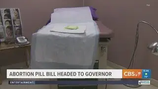 Texas bill allowing private citizens to sue over abortion pills clears Legislature