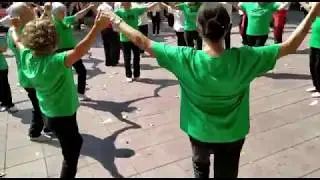 Aprèn a ballar sardanes - 2