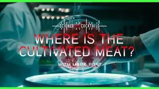 Where is the cultivated meat? with MARK POST