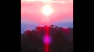 Grouper - Paradise Valley