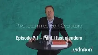 Vidnition 7.1 - Pant i fast ejendom