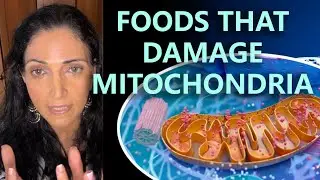 Foods That Damage Mitochondria