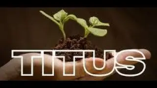 Titus 2:3-5 Healthy Women's Ministry
