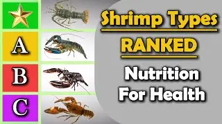 Shrimp Types Ranked by Nutrition &ndash; What&rsquo;s Best for Your Health?