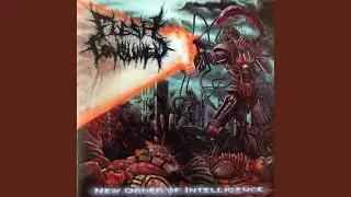 New Order of Intelligence