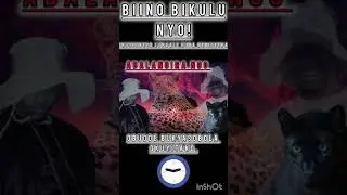 Ebiseera kintu kikulu nnyo mulubaale//omulangiraSsenyondwa #obuwangwa #kabaka #okusamira #ennono 