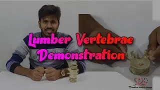 Lumber Vertebrae in bangla || Typical & Atypical Lumber vertebrae demonstration