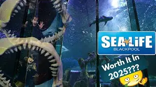 sea life blackpool 2025 full tour