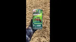 How to Get Rid of Fire Ant Mounds Quickly