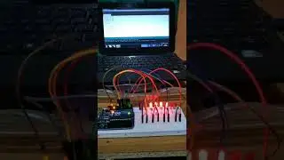 Belajar Dasar Arduino untuk Pemula Lampu Led Berjalan