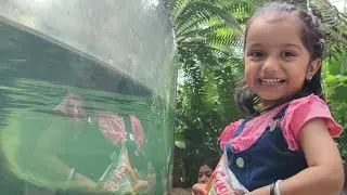 The Dallas World Aquarium | Learning about animals and sea life | Outing with family | TX , USA