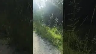 Bike riding in Silver Springs Forest Wildlife Management Area