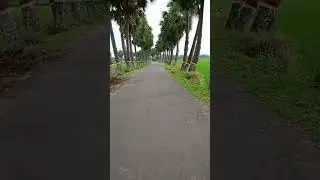 Do like natural beauty please subscribe like comment share #duet #brazilain #zurysis