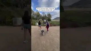 Carlsbad Hiking Trail | Dog Friendly #visitcarlsbad #hiking #dogfriendly