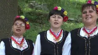 ВГ 