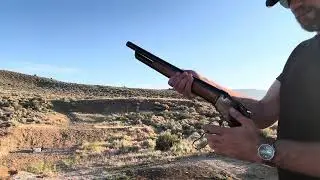 Chiappa 1887 Mares Leg
