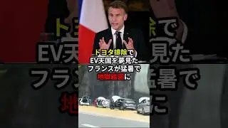 ㊗️500万再生！トヨタ排除でEV天国を夢見たフランスが猛暑で地獄絵図に #海外の反応