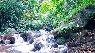 Natural River Flow for Emotional Balance