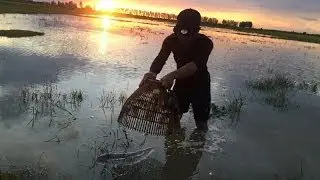 AMAZING Fishing With Angrout In River Net Fishing In Siem Reap Province Khmer Cast Net Fis -2017