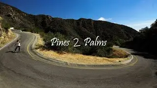Phil Sacks // Pines 2 Palms