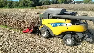 New Holland CR 9060 au moisson de ma&iuml;s 2023 !