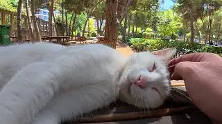 He was sleeping so deeply, gave me a scare!