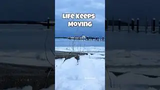 Паром продолжает курсировать | Зима на Кейп-Коде