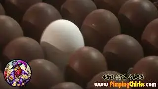 Black Copper Marans Just Started Laying! Deep Chocolate Egg Tray Reveal (Arizona)