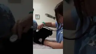Local Veterinarian, Dr. Jordan, demonstrates a Fear Free kitty exam. Starring Princess