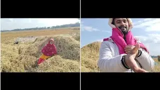 Gaon ki khubsurti | Beautiful Village life style 💝@irfan like