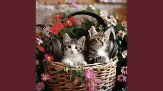 Peaceful Cat Moments