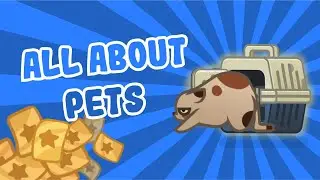 All about pets
