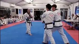 Tang Sou Dao: Master Parker Impact testing