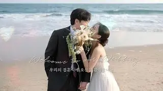 요즘 인기 많은 감성적인 인트로와 특별한 식전 영상