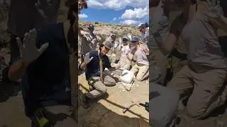 2025 Dinosaur Dig: Week Three! #paleontology #dinosaurs #fossils #montana #adventure