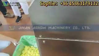 Automatic fry sun chips machinery Fried wheat chips moon shape Lab extruder machine