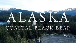 ALASKA - Coastal Black Bear Hunt Sneak Peek