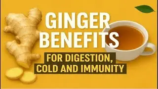 Ginger Benefits For Digestion, Cold and Immunity