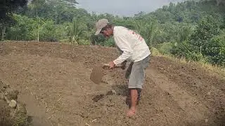 Garden Hack: Building Neat Planting Beds with a Hoe _FarmersLife _Shorts