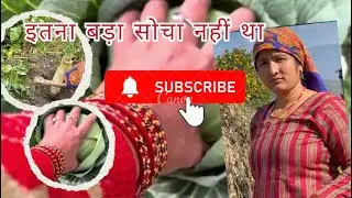 इतना बड़ा निकलेगा// सोचा नहीं था // #उत्तराखंड #phadilifestyle 