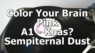 Color Your Brain Pink - A1 - Koas? - Sempiternal Dust