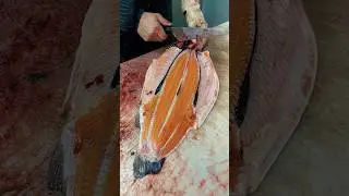 TROUT - Fresh Fish and Cleaning Methods