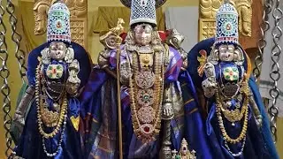 #vrindavan  me south indian jesa rangji  mandir ke bhavy darshan 🙏😍😍