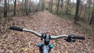 dartmoor hornet pro